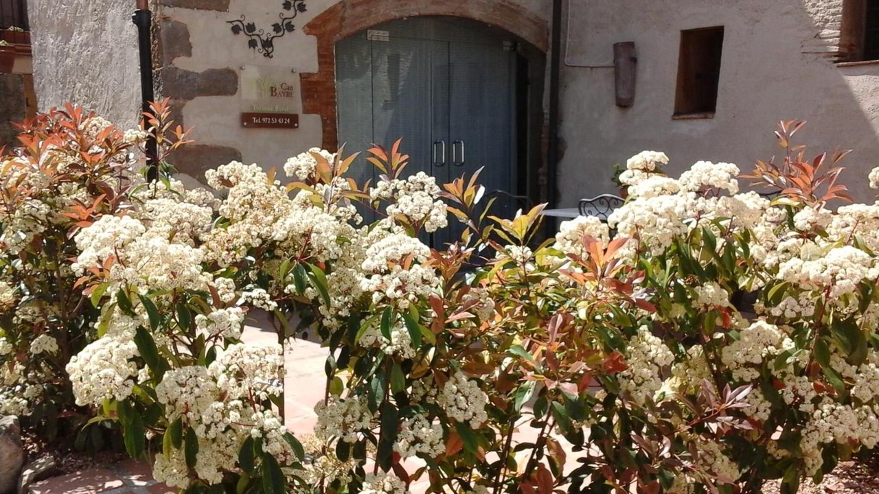 Photo of Outdoor in Fortia