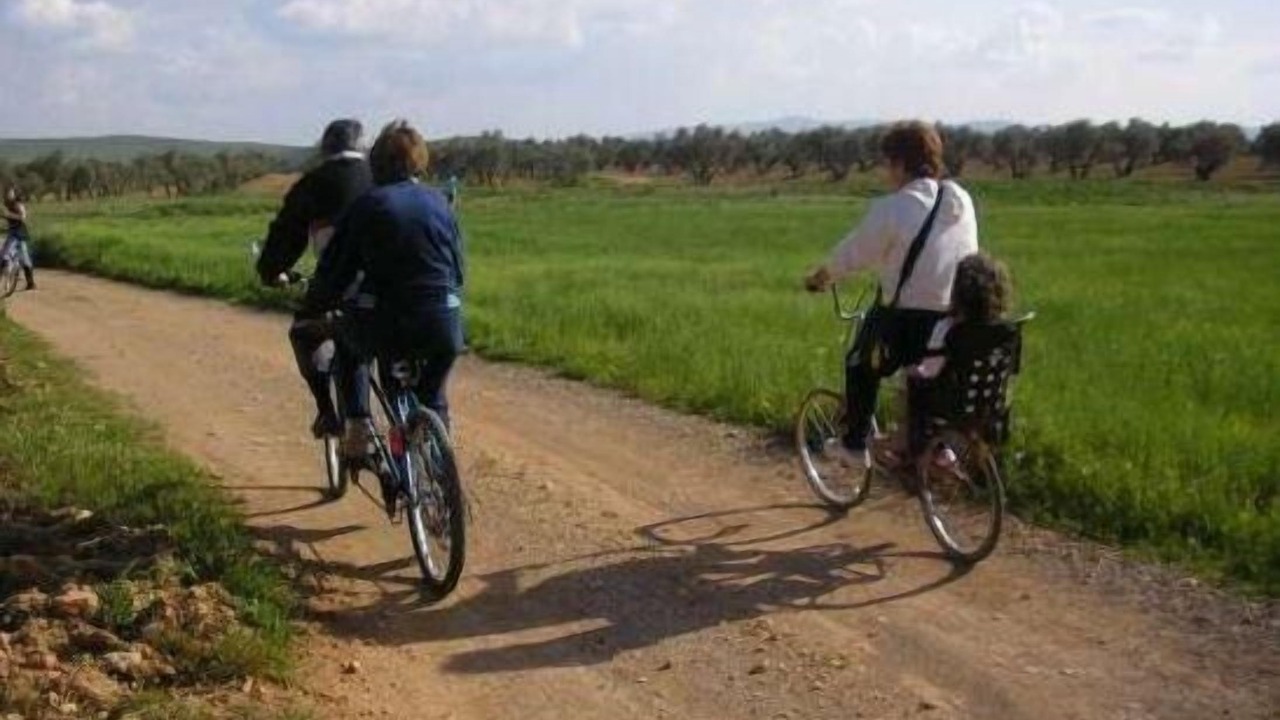 Photo of Others in Granatula de Calatrava