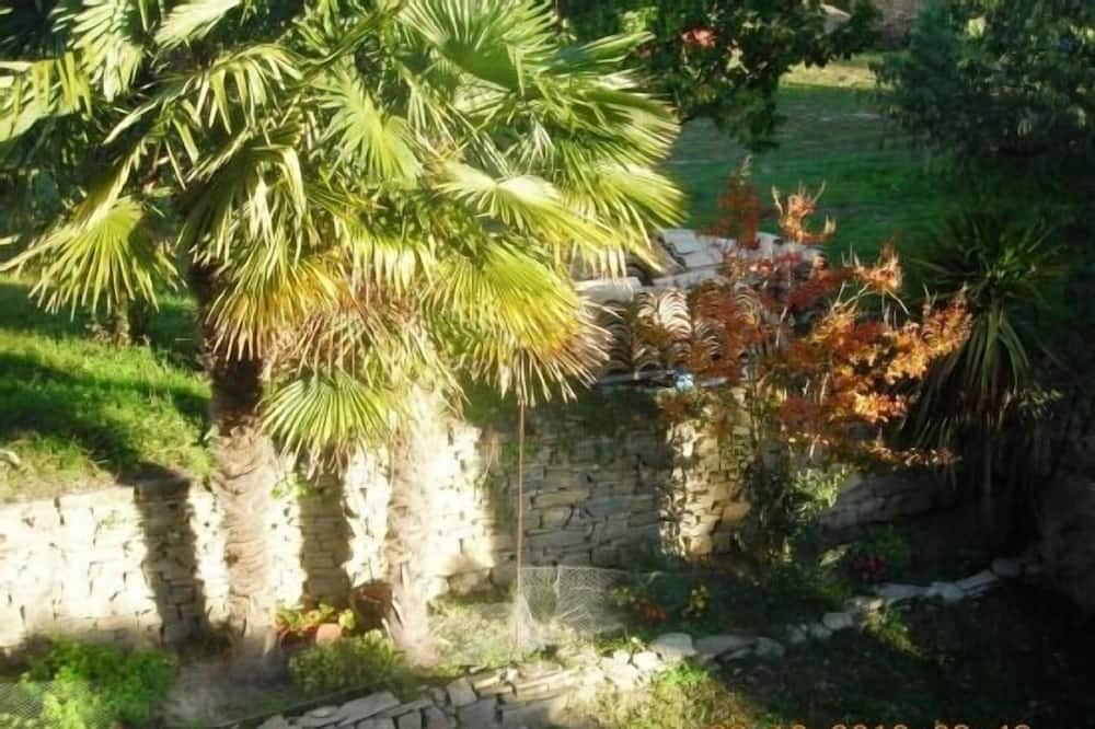Photo of Outdoor in Coscojuela de Sobrarbe