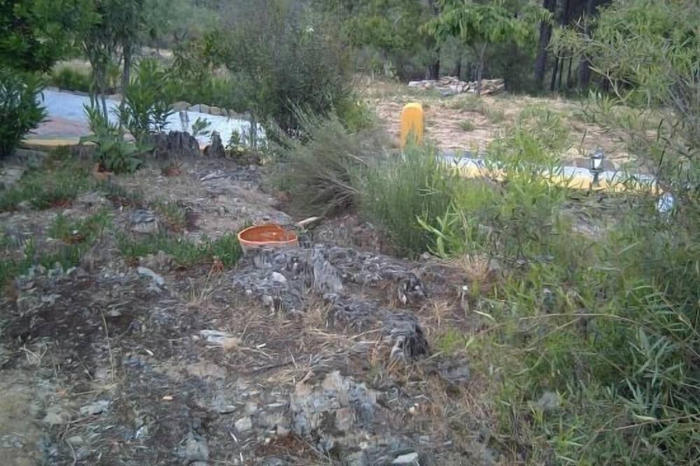 Photo of Outdoor in Garciaz