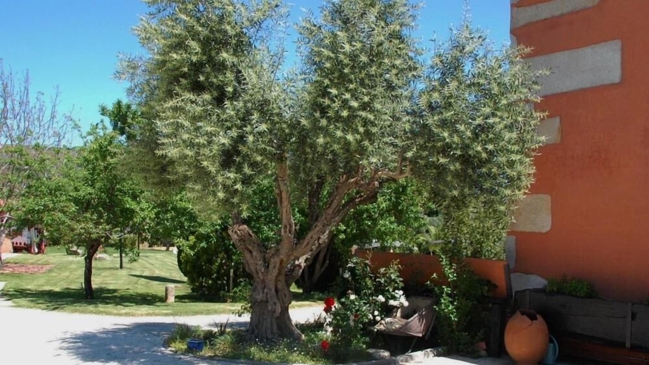 Photo of Outdoor in Aldeanueva del Camino