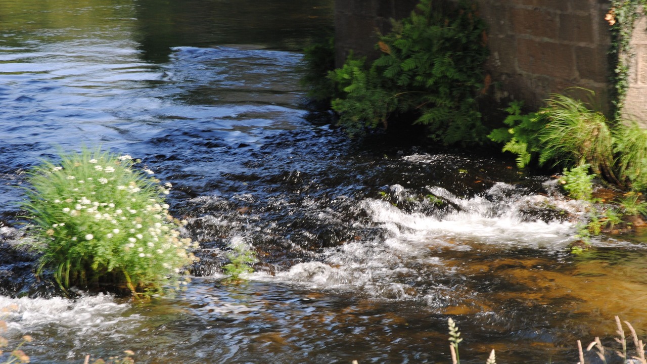 Photo of Outdoor in Caldas de Reis