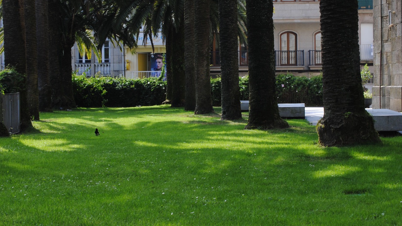 Photo of Outdoor in Caldas de Reis