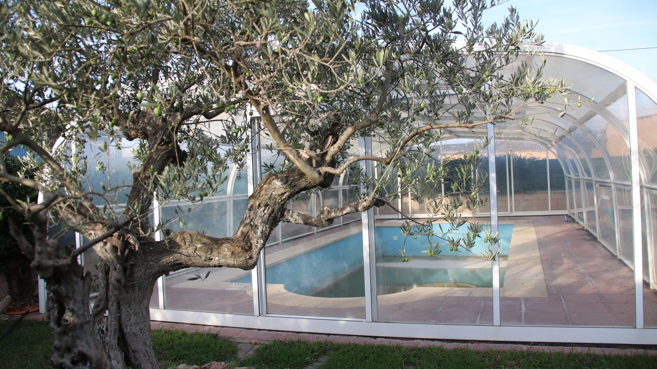 Photo of Outdoor in Milagro