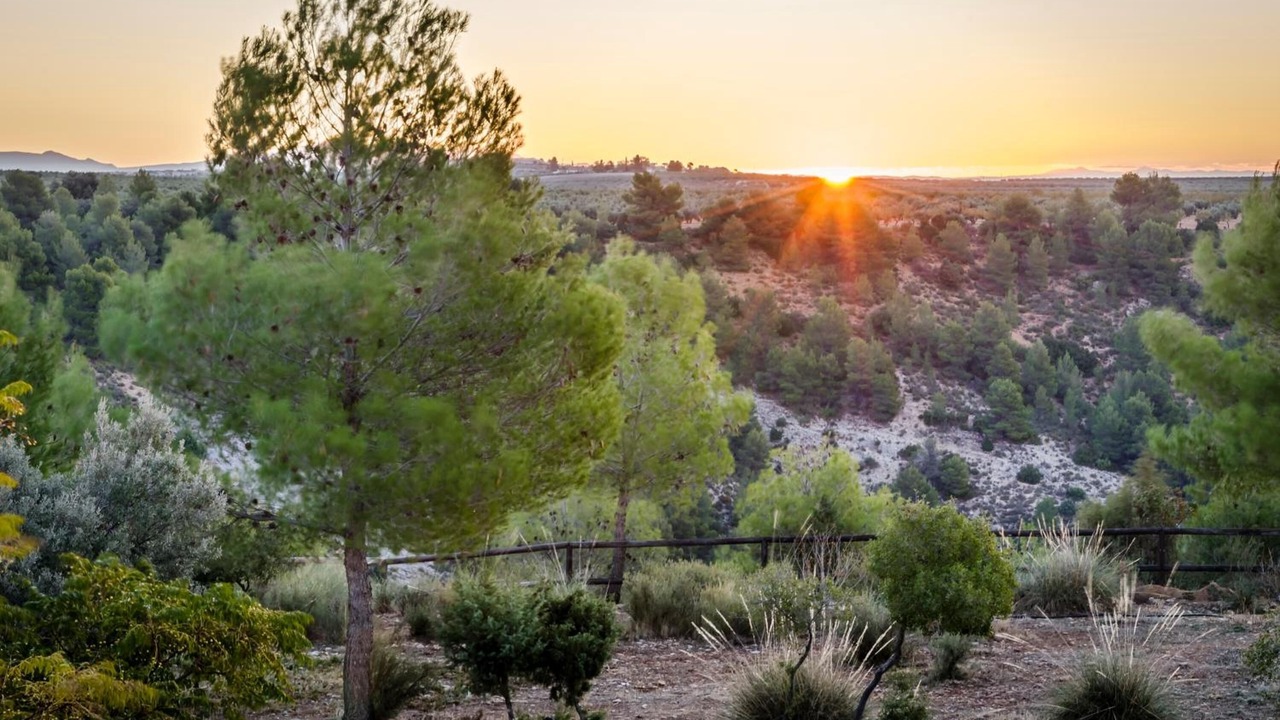 Photo of Outdoor in Campocamara