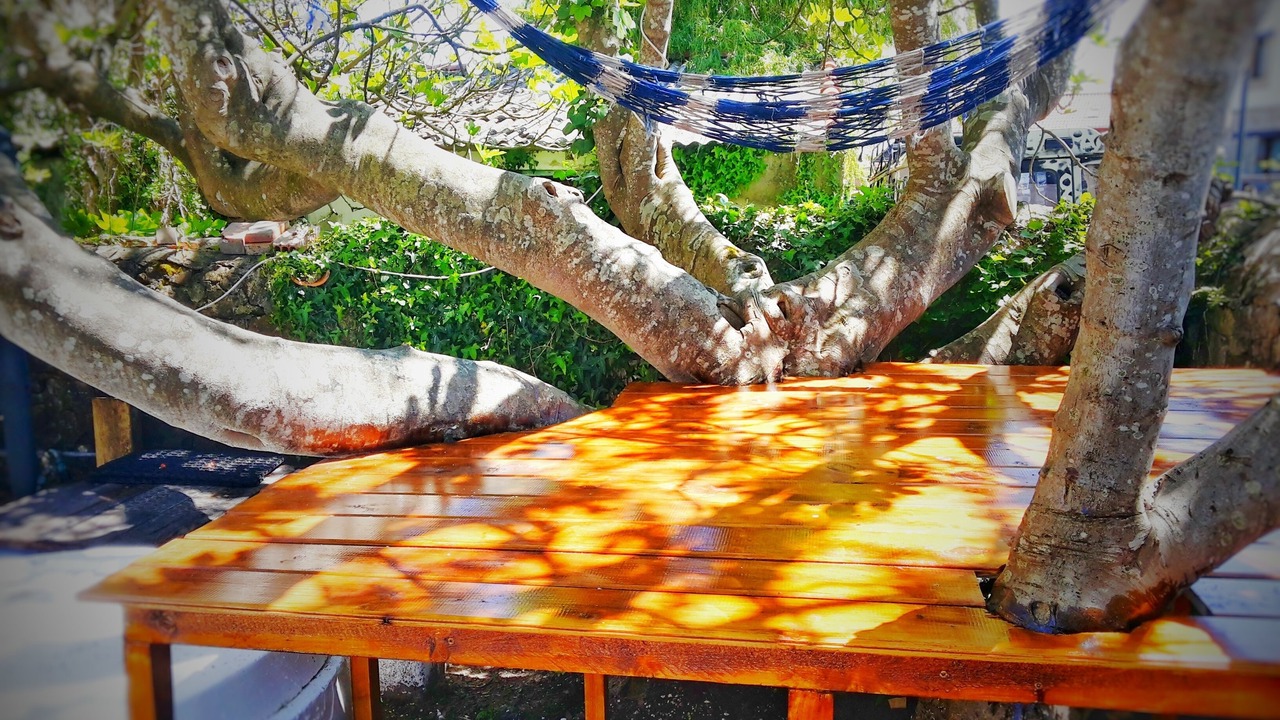 Photo of Outdoor in Somo