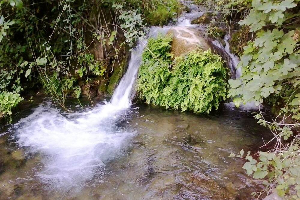 Photo of Others in Cazorla