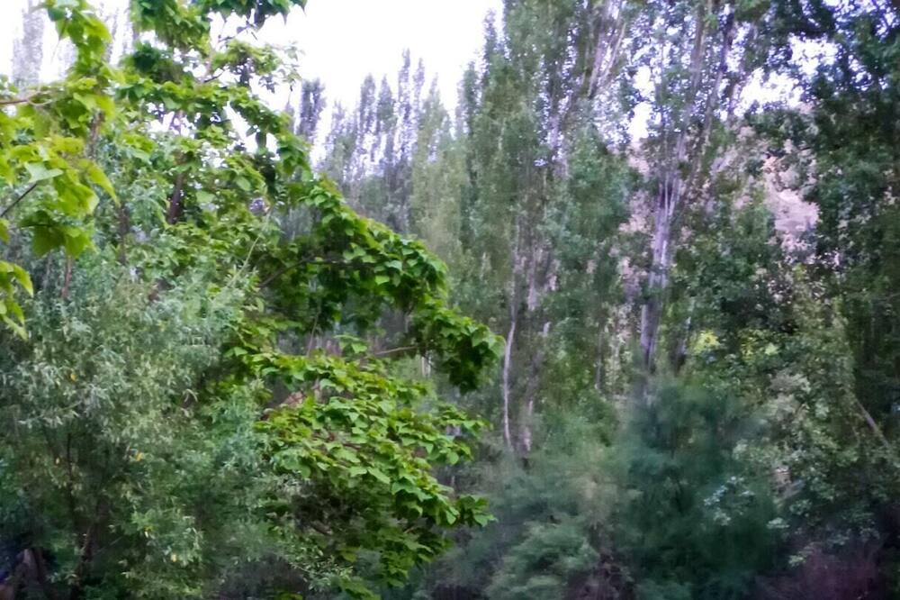 Photo of Outdoor in Cazorla