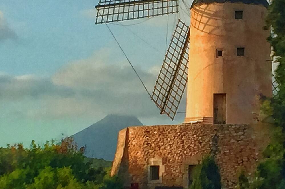 Photo of Outdoor in Andraitx
