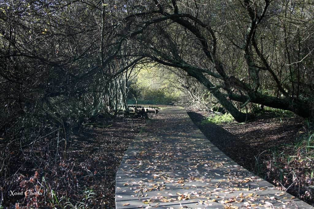 Photo of Outdoor in Porto de Espasante