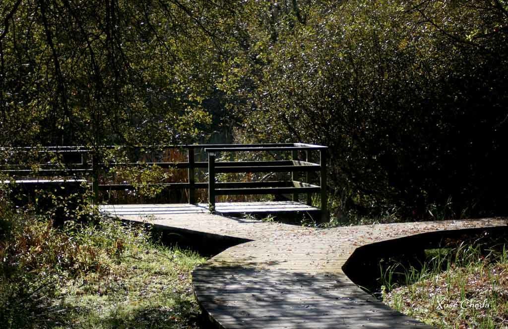 Photo of Outdoor in Porto de Espasante