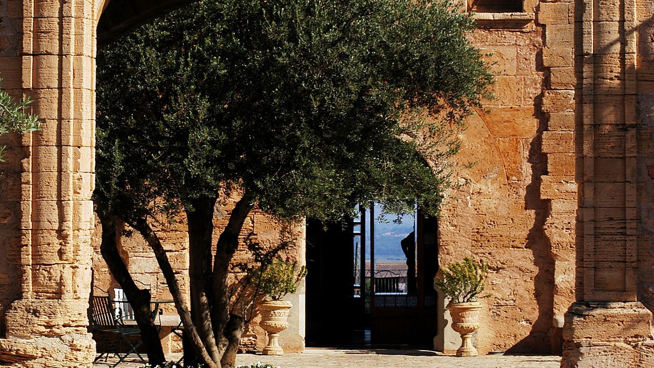 Photo of Outdoor in Santa Margalida