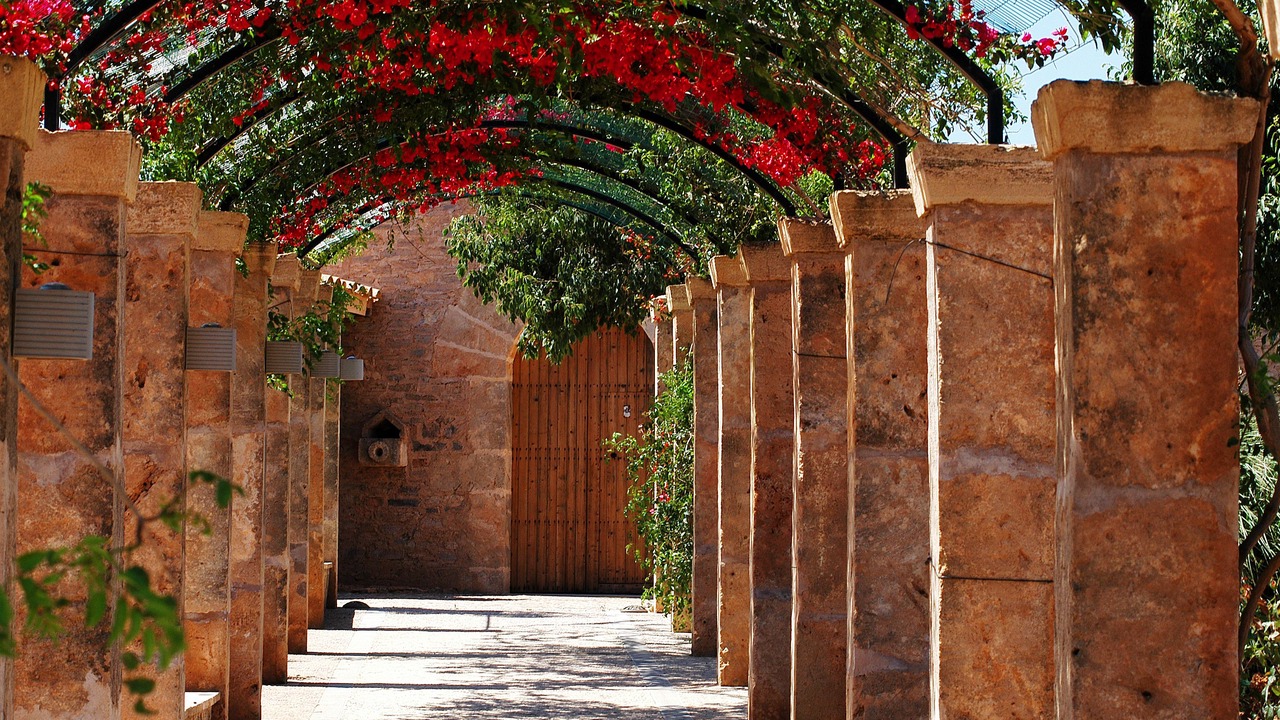 Photo of Outdoor in Santa Margalida