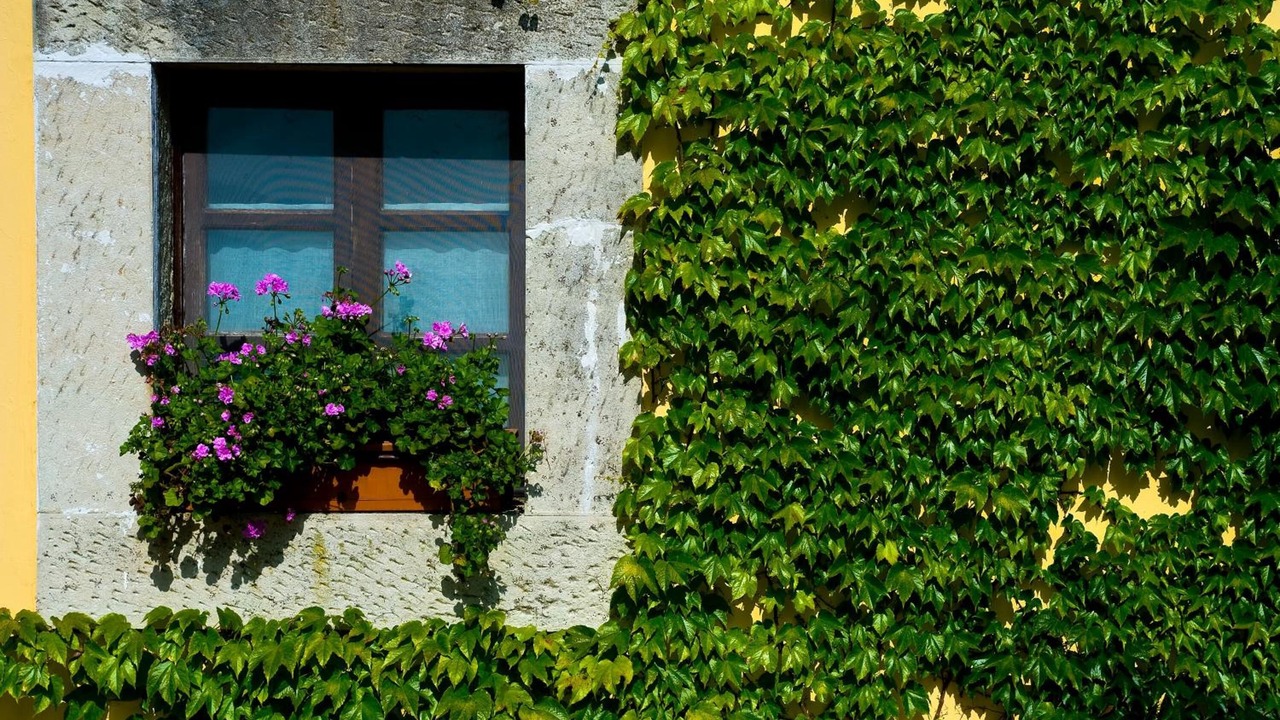 Photo of Outdoor in Villamayor