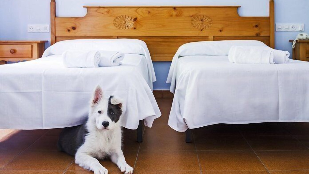 Photo of Bedroom in Camarmena