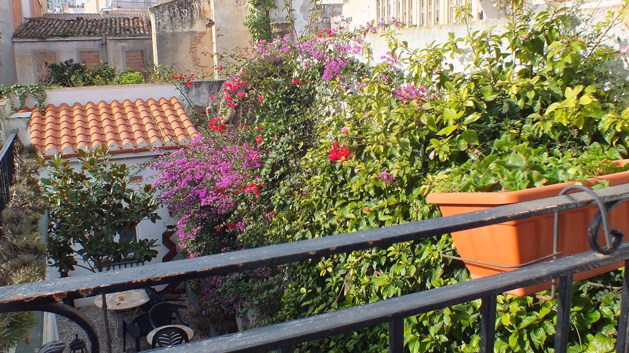 Photo of Patio Balcony in Canet de Mar
