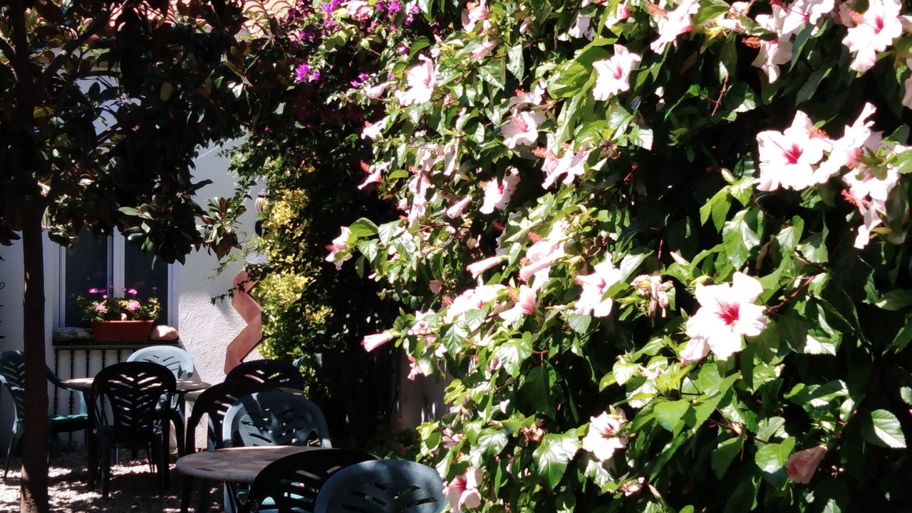 Photo of Outdoor in Canet de Mar