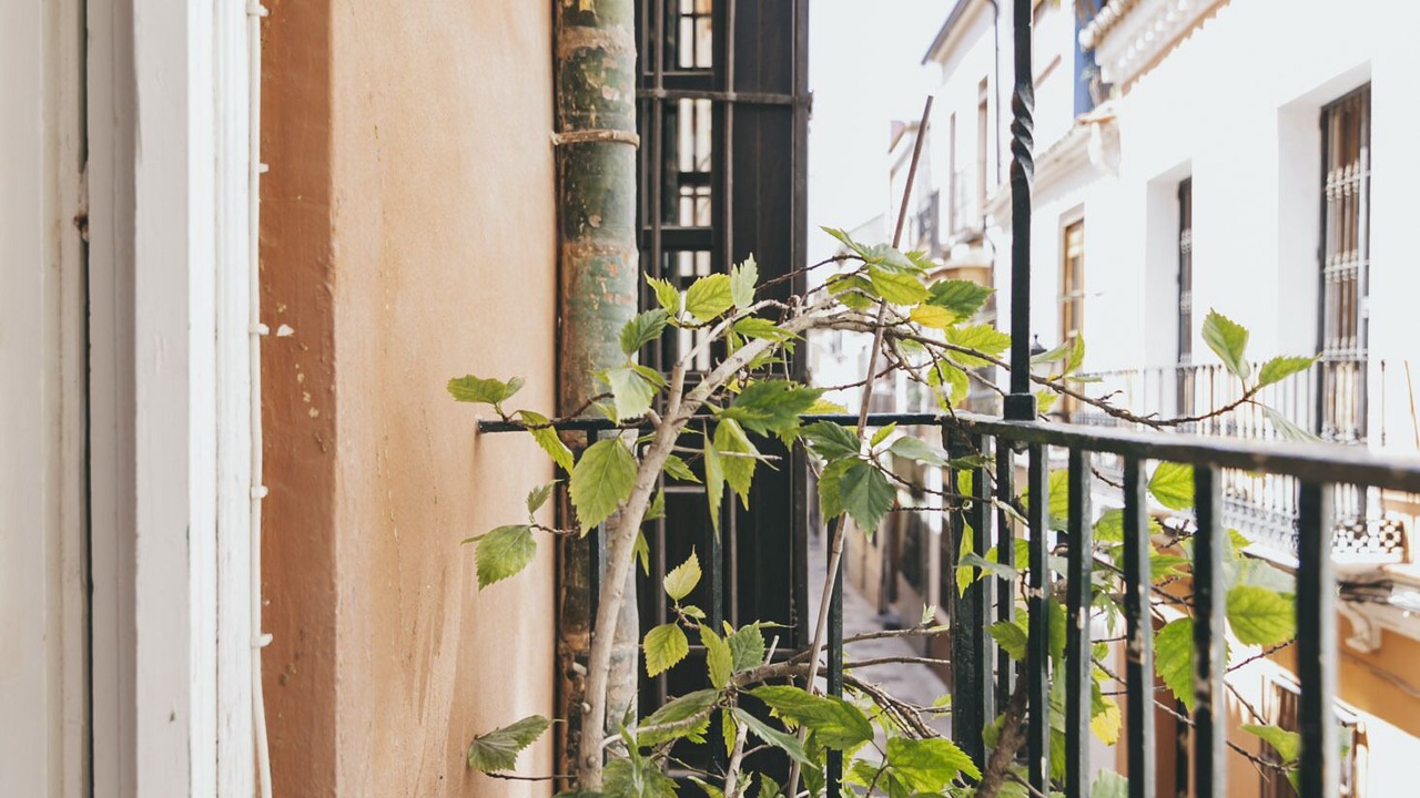 Photo of Patio Balcony in La Merced