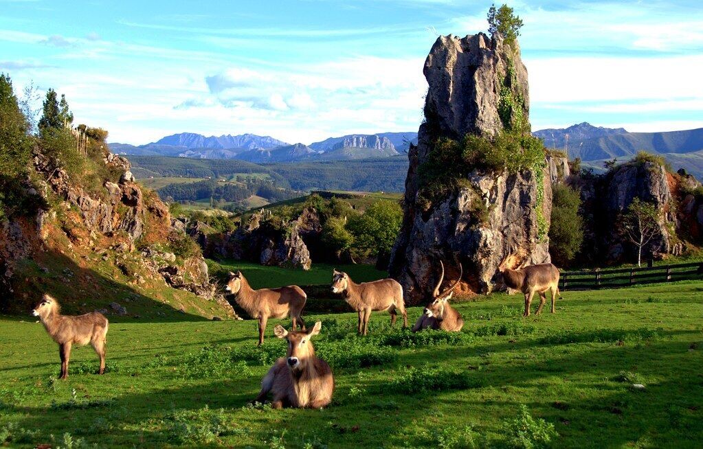 Photo of Others in Carrejo