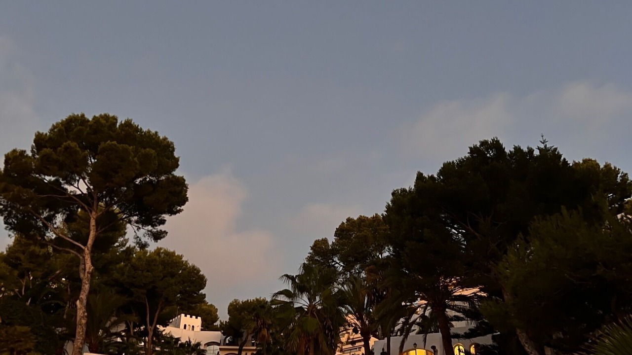Photo of Outdoor in Illetas
