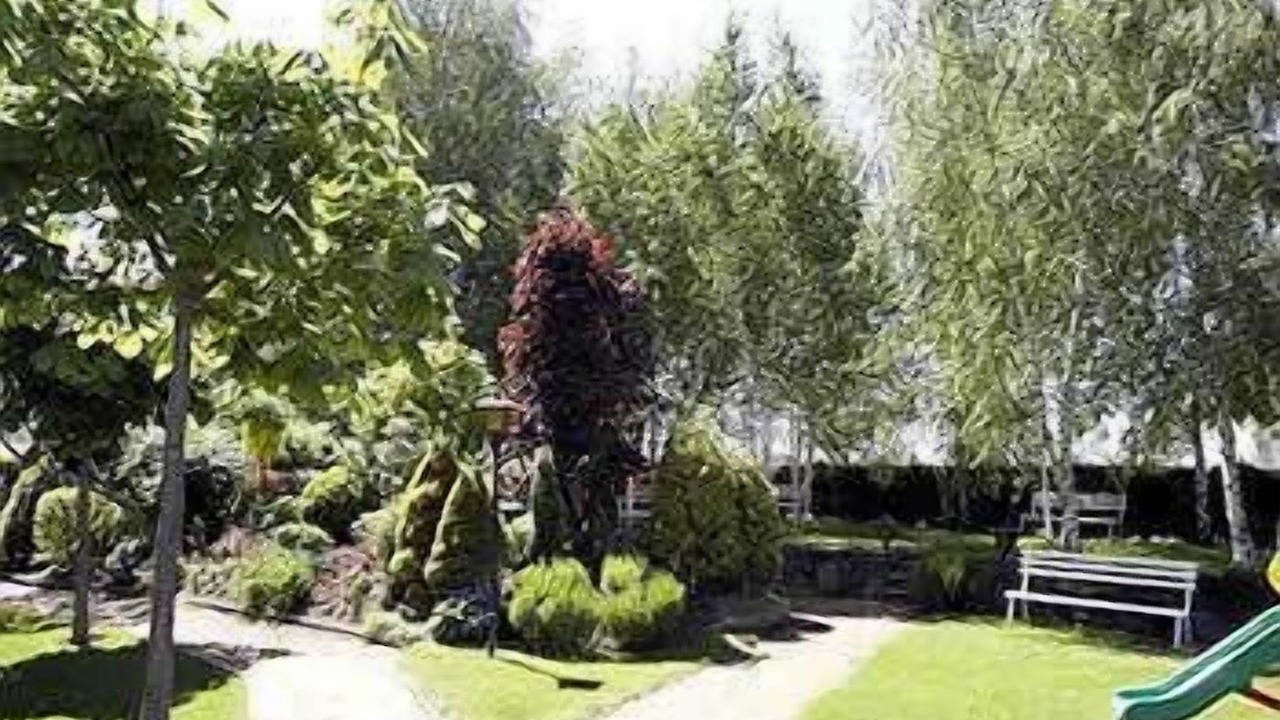 Photo of Outdoor in Mollo