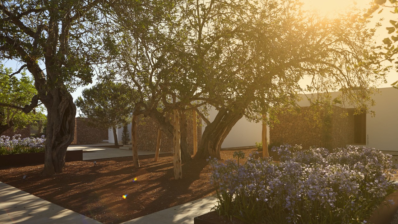 Photo of Outdoor in Sant Miquel de Balasant