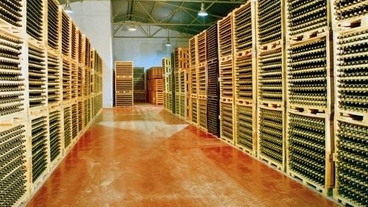 Photo of Others in Aranda de Duero