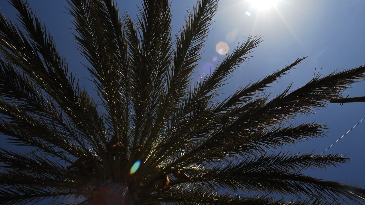 Photo of Outdoor in Banyalbufar