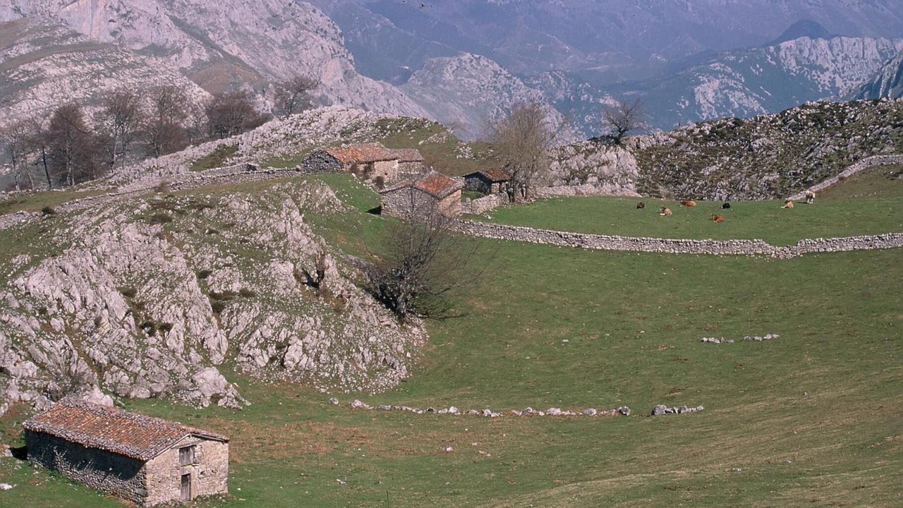 Photo of Outdoor in Arenas de Cabrales