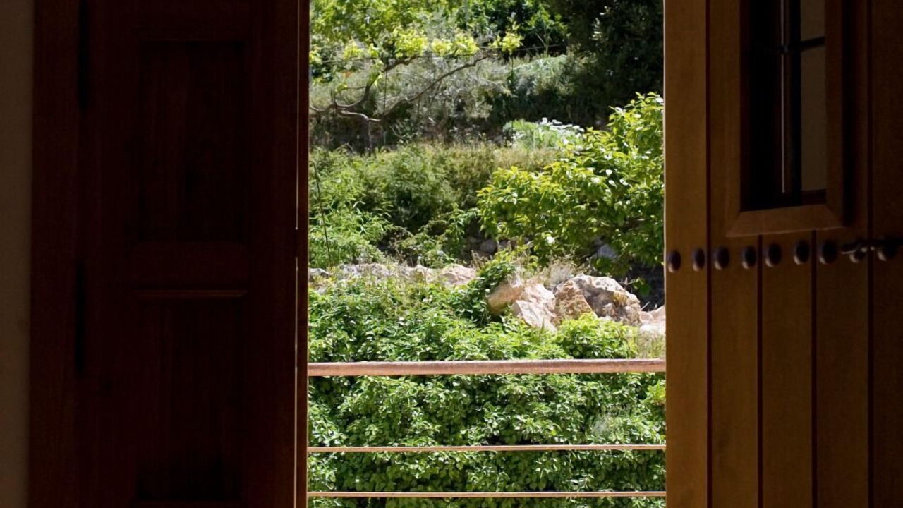 Photo of Outdoor in El Berro