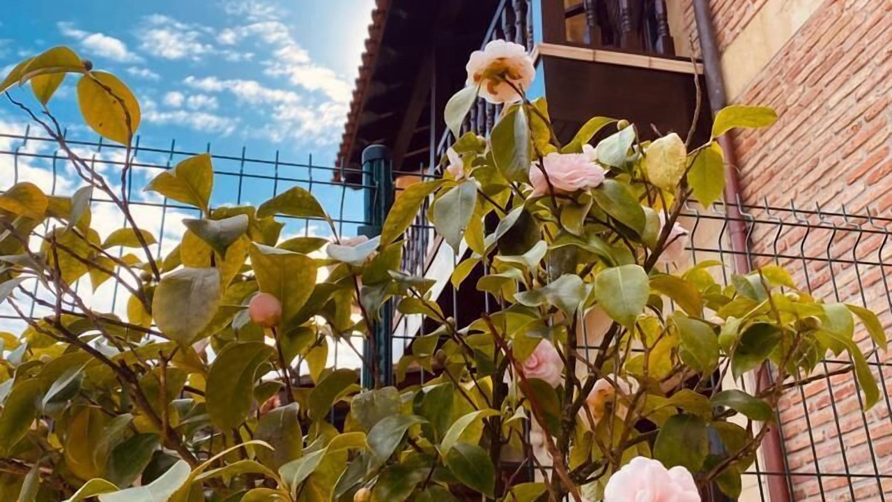 Photo of Patio Balcony in Comillas City Center