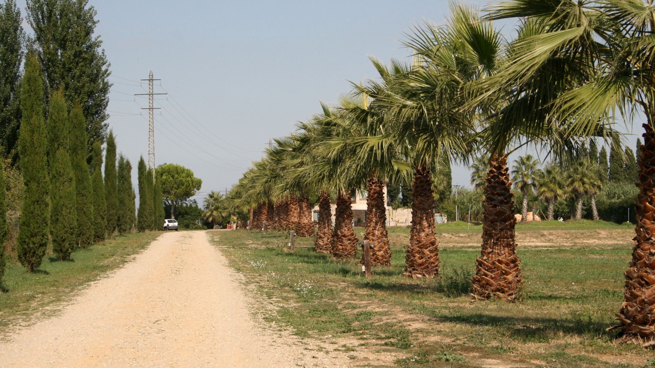 Photo of Outdoor in Sant Pere Pescador