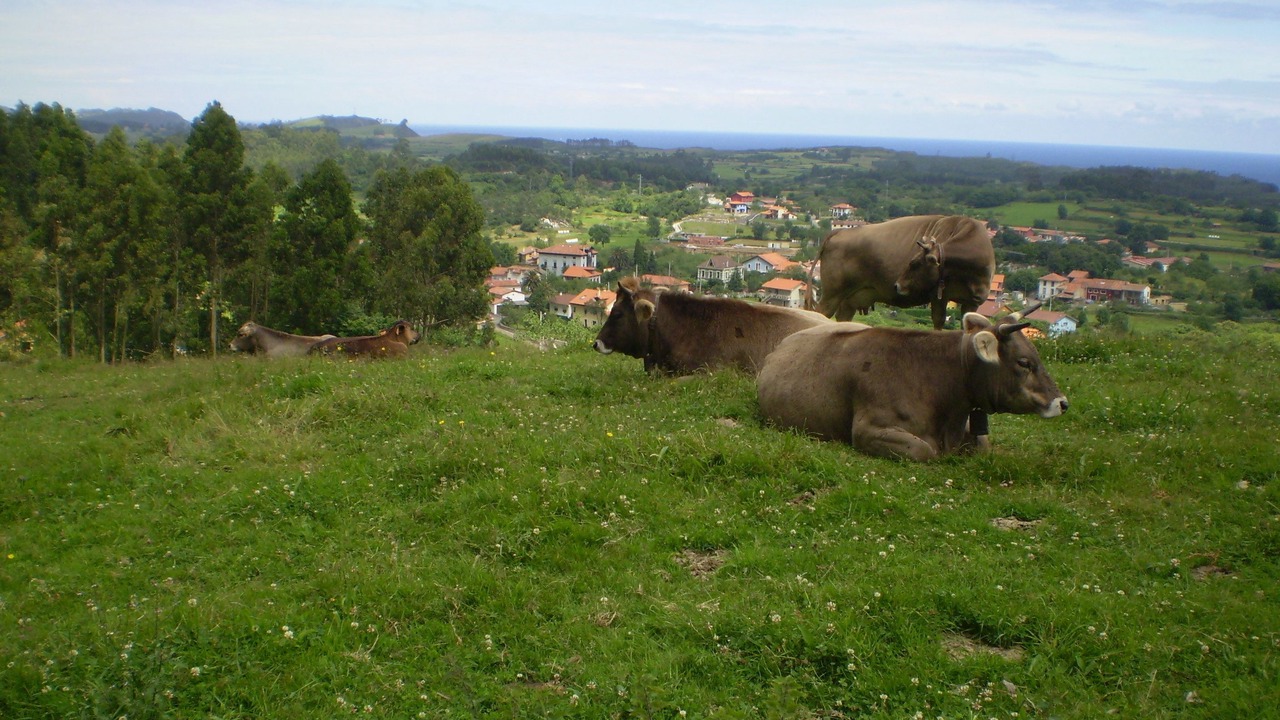 Photo of Outdoor in Camango
