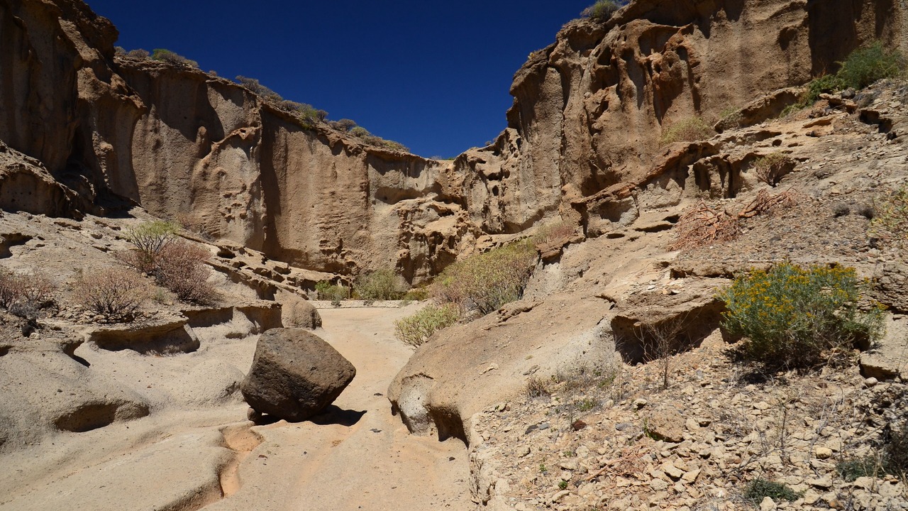 Photo of Outdoor in San Miguel de Abona