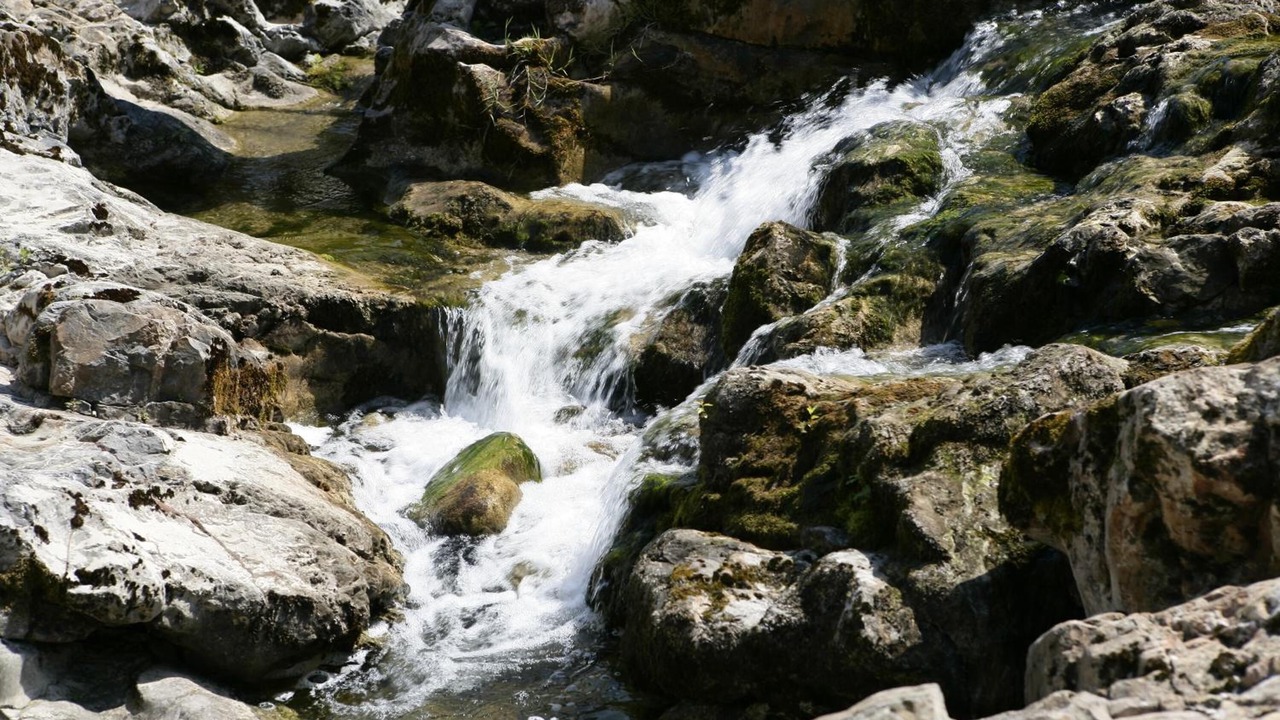 Photo of Outdoor in Cruce La Venta