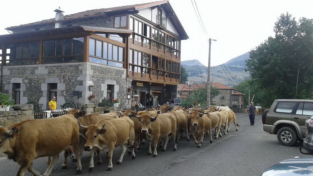 Photo of Outdoor in La Gandara