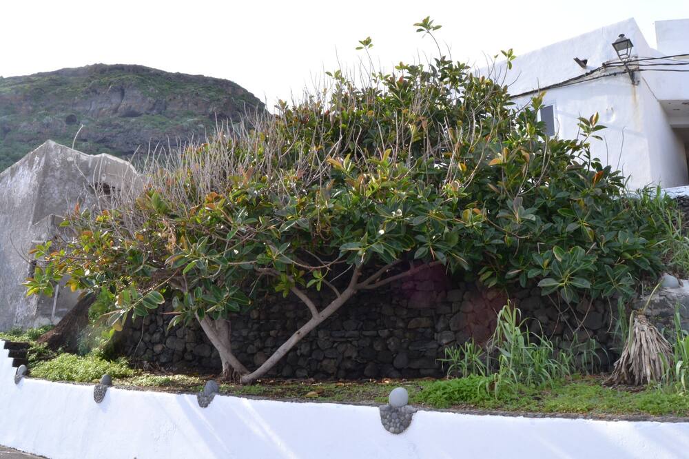 Photo of Outdoor in Las Aguas
