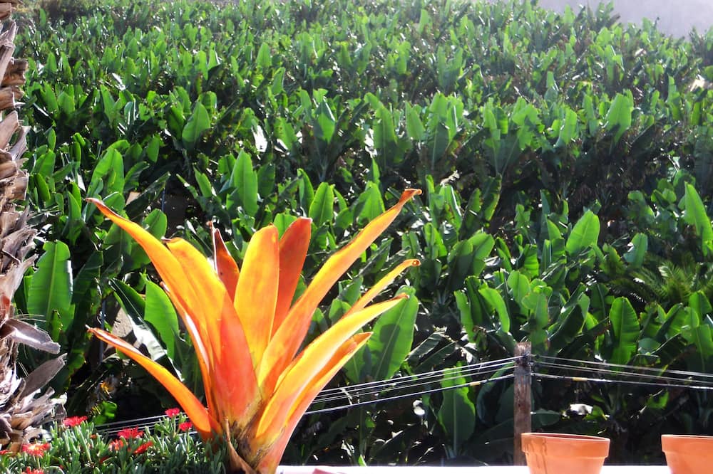 Photo of Outdoor in Las Aguas