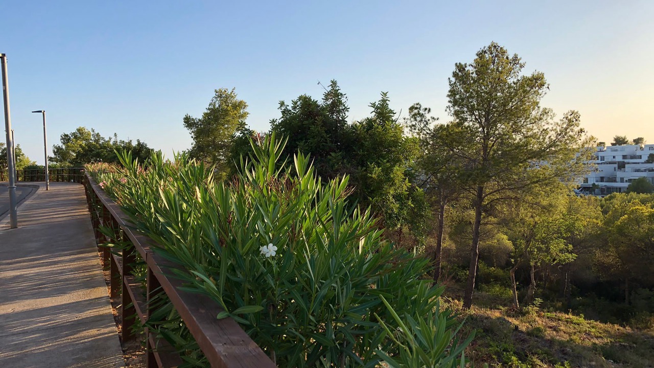 Photo of Outdoor in Vallpineda