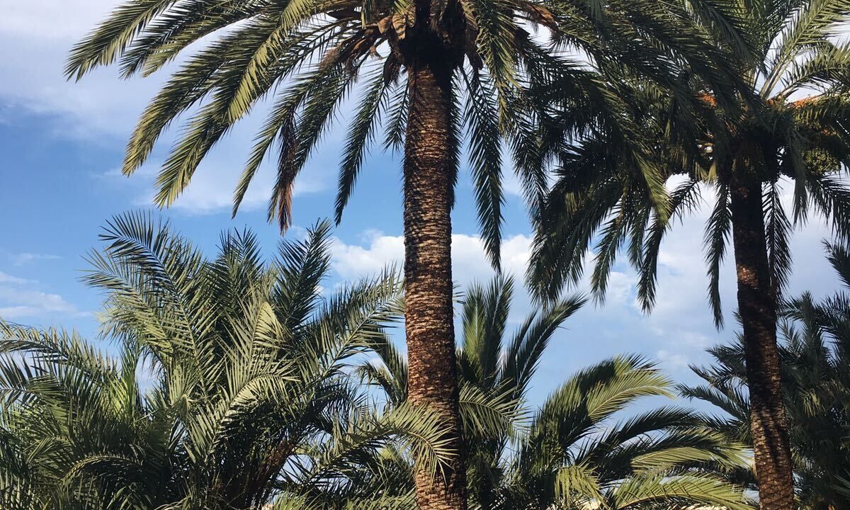 Photo of Outdoor in Figueretas