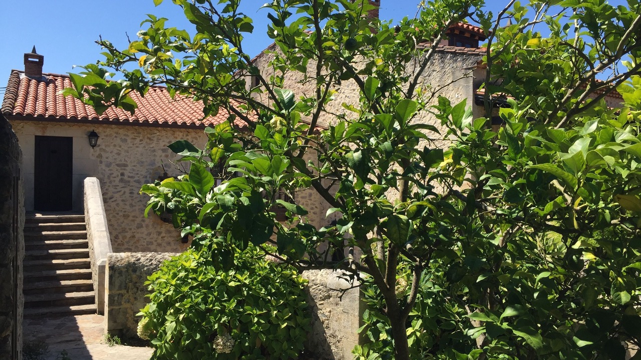 Photo of Outdoor in Ribamontan al Mar