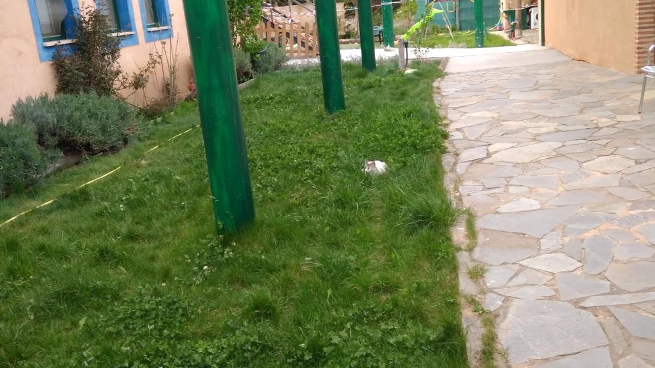 Photo of Outdoor in Murias de Rechivaldo