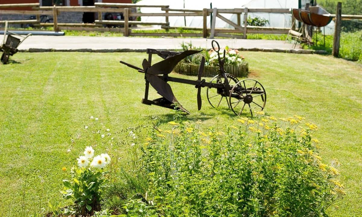 Photo of Outdoor in A Millara