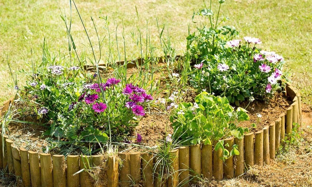 Photo of Outdoor in A Millara