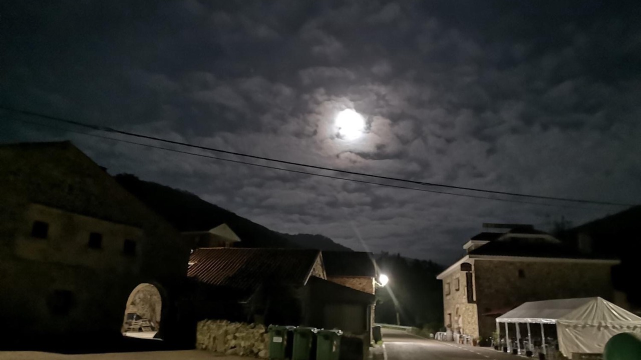 Photo of Outdoor in Lamason