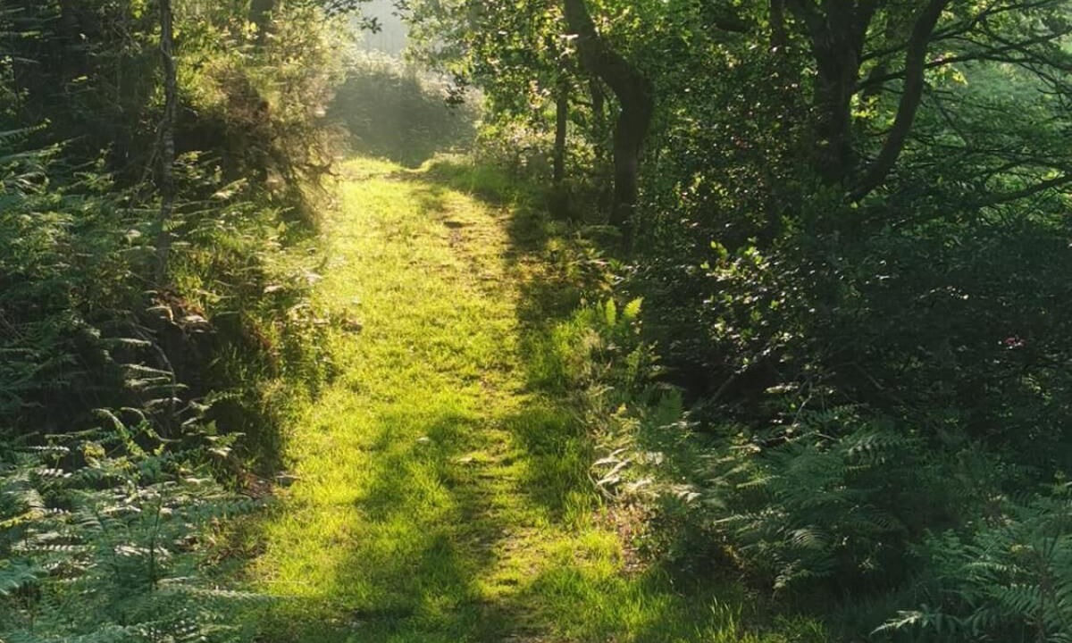 Photo of Outdoor in Lamason
