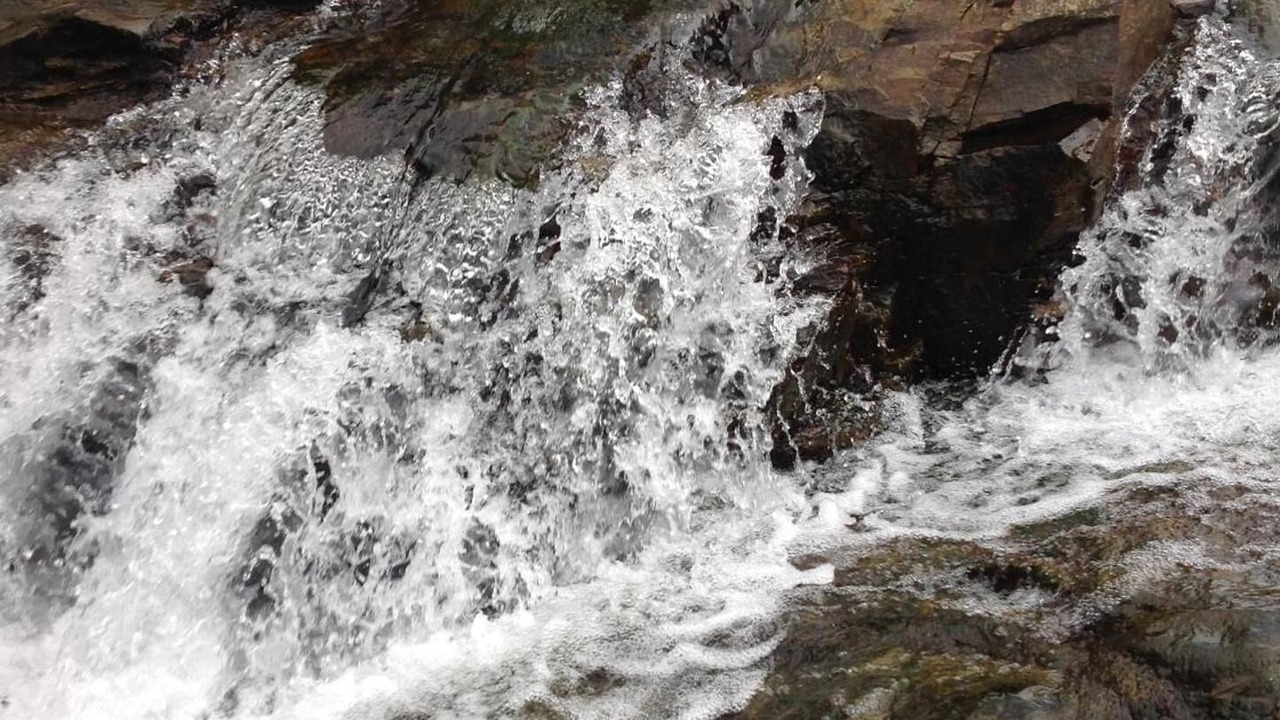 Photo of Outdoor in Lamason