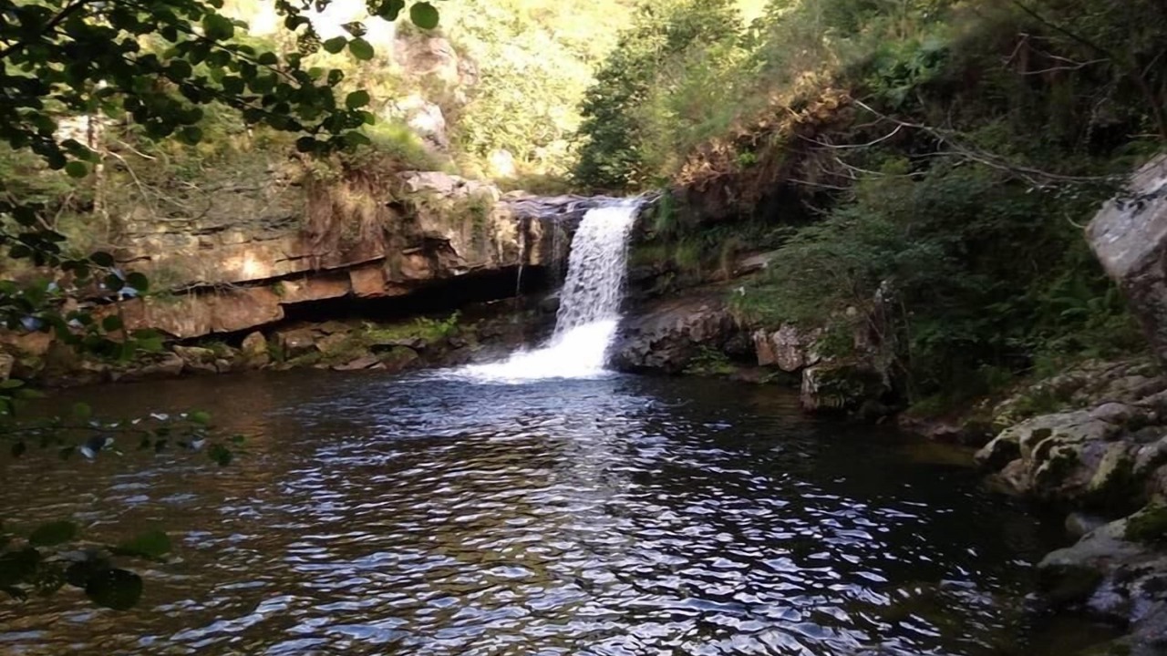 Photo of Outdoor in Lamason