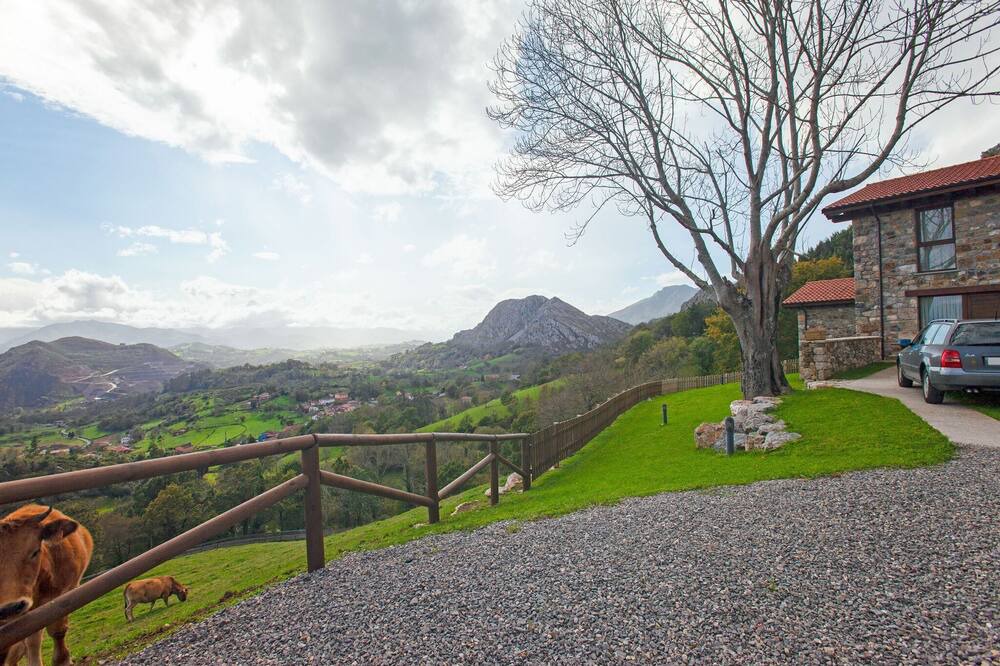Photo of Outdoor in Collia
