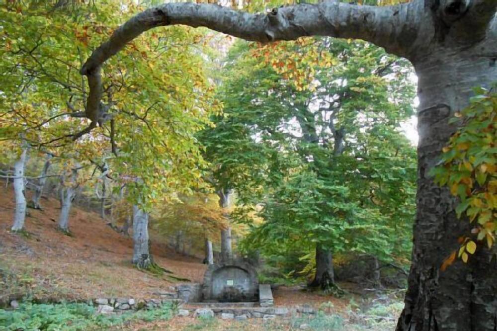 Photo of Outdoor in Anon de Moncayo